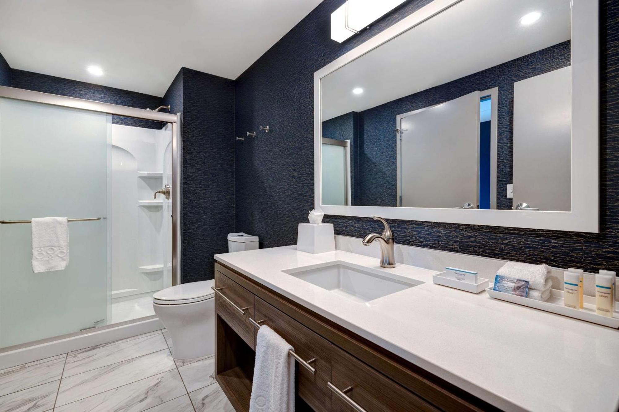 Home2 By Hilton Downtown-metrocenter Hotel