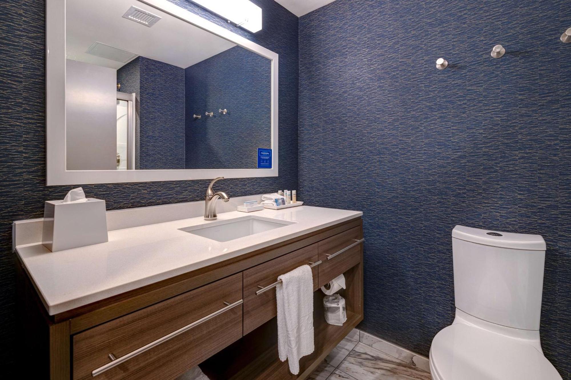 Home2 By Hilton Downtown-metrocenter Hotel